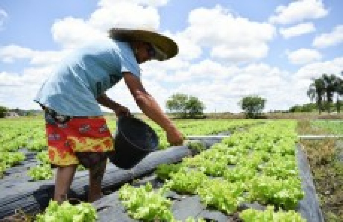 ONU pede auxílio contra fome para evitar tragédia alimentar