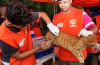 Itaquá terá 100 pontos de vacinação contra raiva