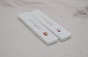Testes rápidos: cada um por si