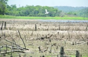 Deputados cobram medidas do governo