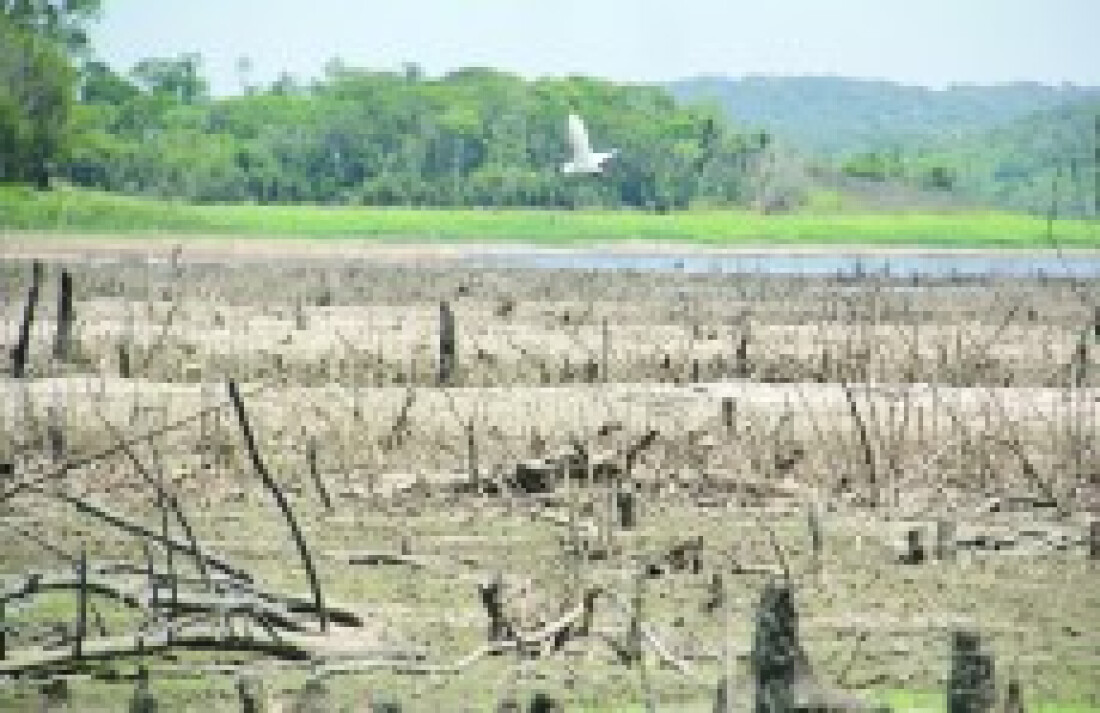 Deputados cobram medidas do governo