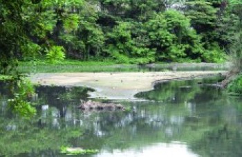 Semae descarta rodízio de abastecimento