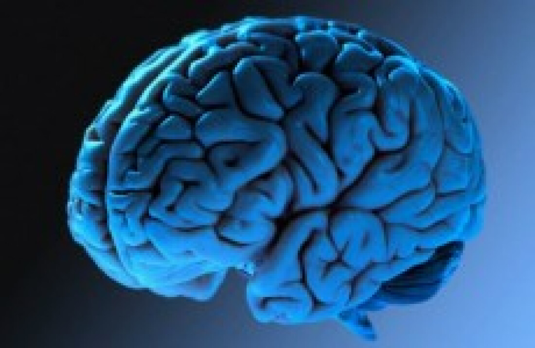Ministério quer melhorar a execução da Saúde Mental em todo Brasil