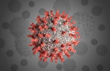 Covid-19 fez mais vítimas que todos acidentes de trânsito em 2019