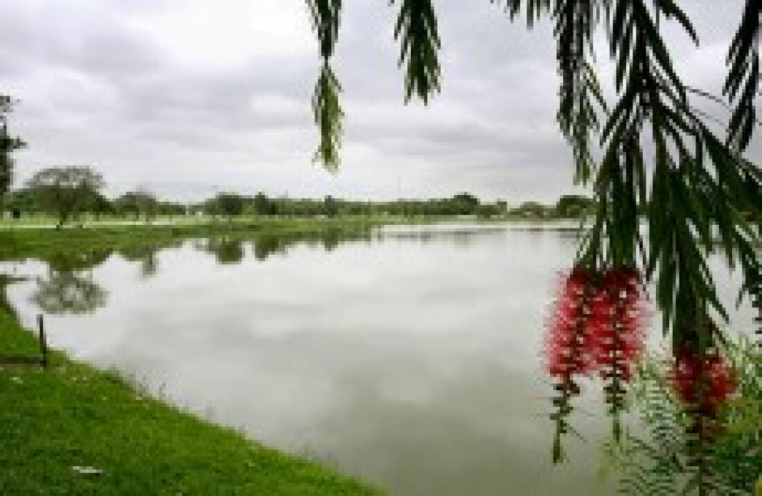 Parque do Tietê