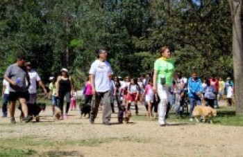 CaminhaCão atrai 4 mil participantes em Itaquá