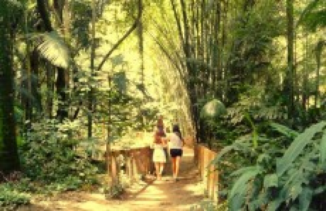 Jardim Botânico