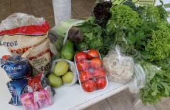 Famílias começam a receber kits da Agricultura Familiar