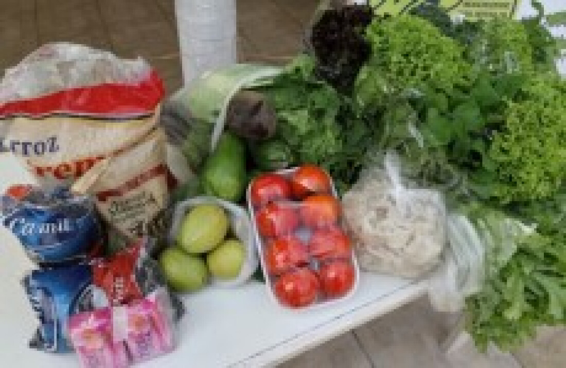 Famílias começam a receber kits da Agricultura Familiar