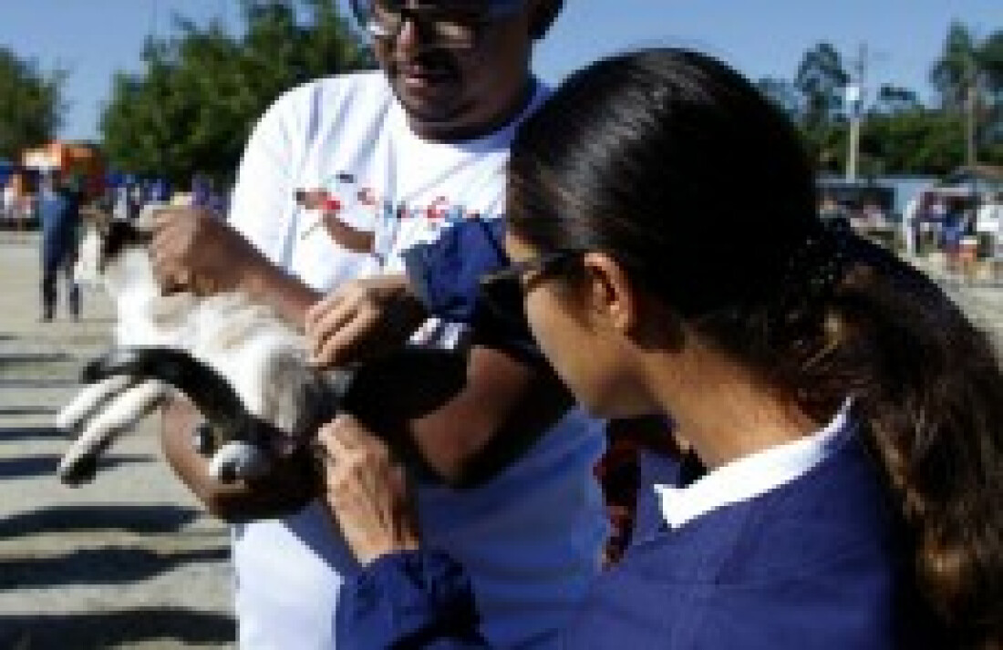 Campanha em Itaquá imuniza 12 mil animais