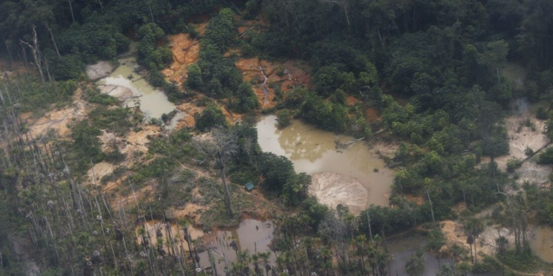 Yanomami pedem água potável e dizem que garimpo ilegal contamina rios