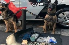 Drogas são apreendidas na região: