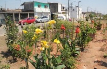 Moradores de Jundiapeba cultivam jardim comunitário:
