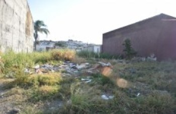 Moradores reclamam de lixo em terreno público