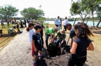 Dia da Árvore é comemorado com plantio em três parques