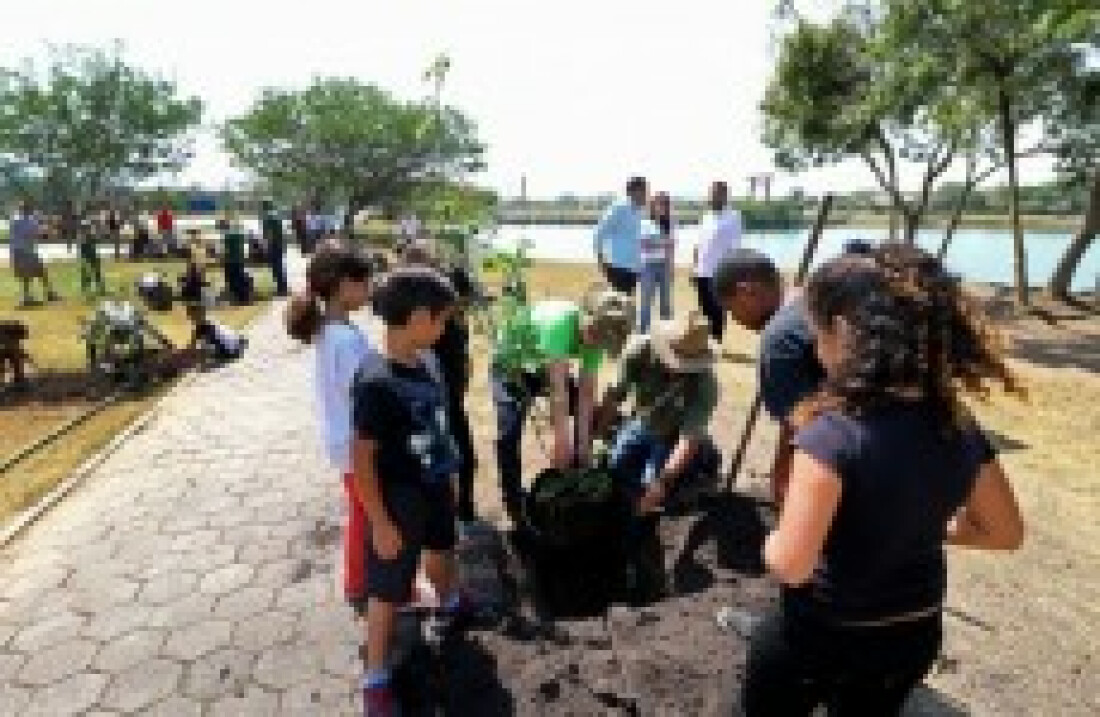 Dia da Árvore é comemorado com plantio em três parques