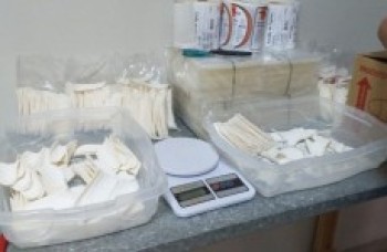 Grupo inicia produção industrial de produtos a base de tapioca