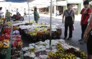 Chamamento para venda no Finados está aberto