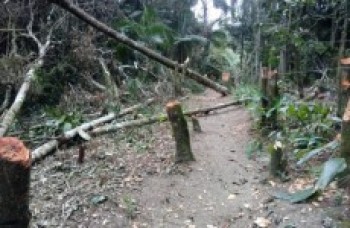 Prefeitura combate segunda ocupação irregular na semana