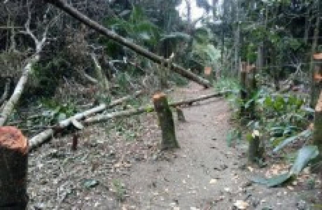 Prefeitura combate segunda ocupação irregular na semana