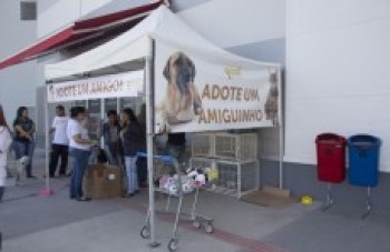 Itaquá Garden Shopping faz feira para adoção de animais
