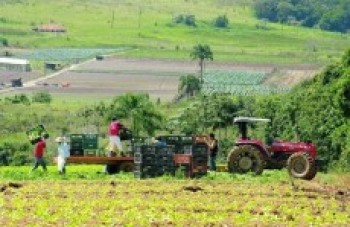 Estudantes da Fatec de Mogi criam Agrofeira Delivery
