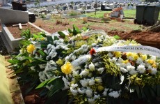 Uma carreira feita de títulos e idolatria