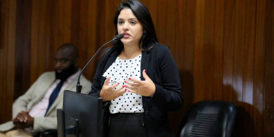 Comissão vai acompanhar ações após enchentes em Mogi