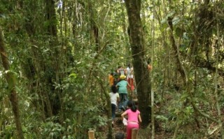 Parque das Neblinas comemora 13 anos de ações em meio à natureza