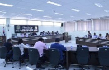 Câmara propõe medidas para reduzir danos com pandemia