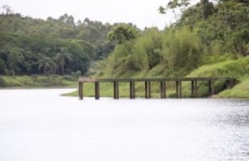 Energia elétrica terá reajuste de 24%