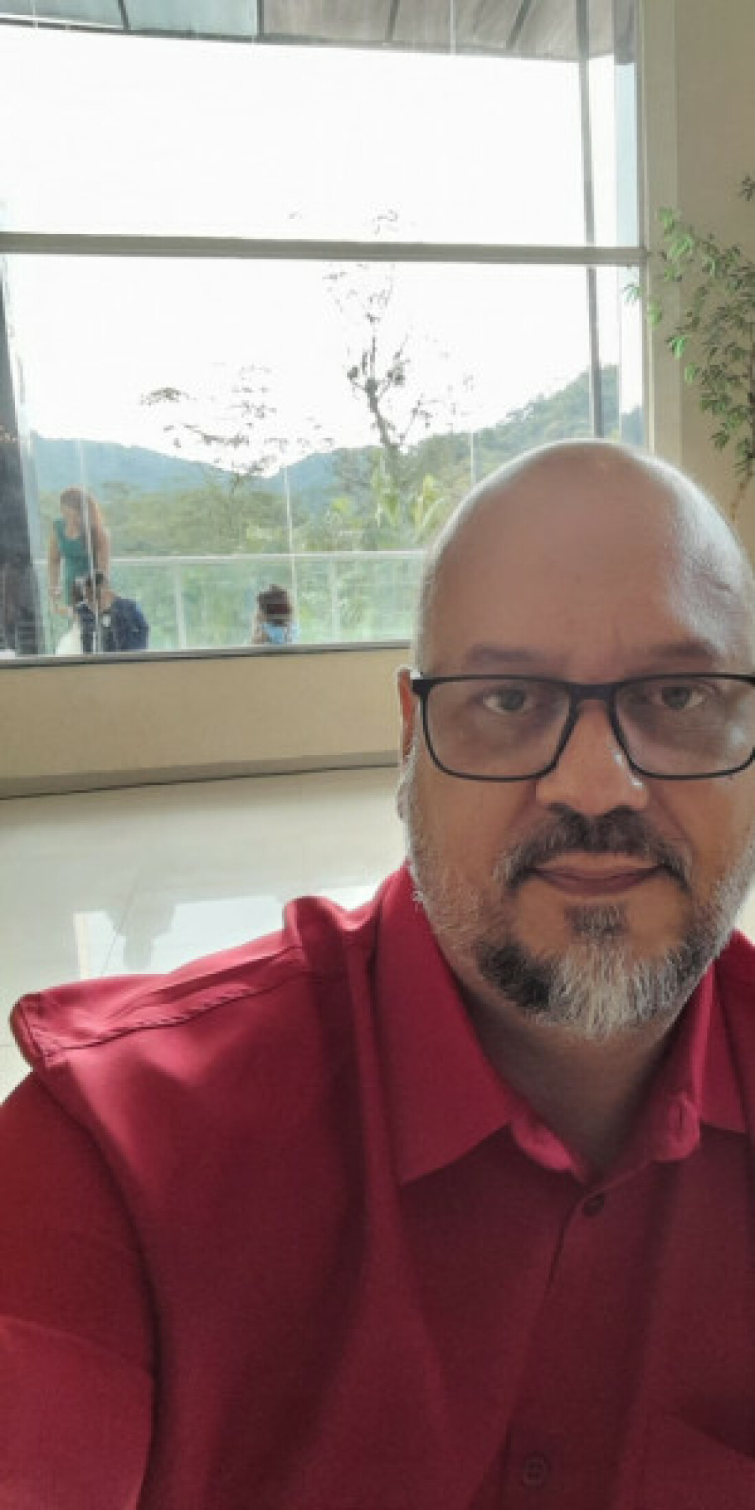 A Celebração da Loucura