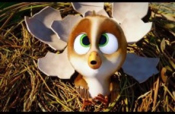 "Missão Cegonha"