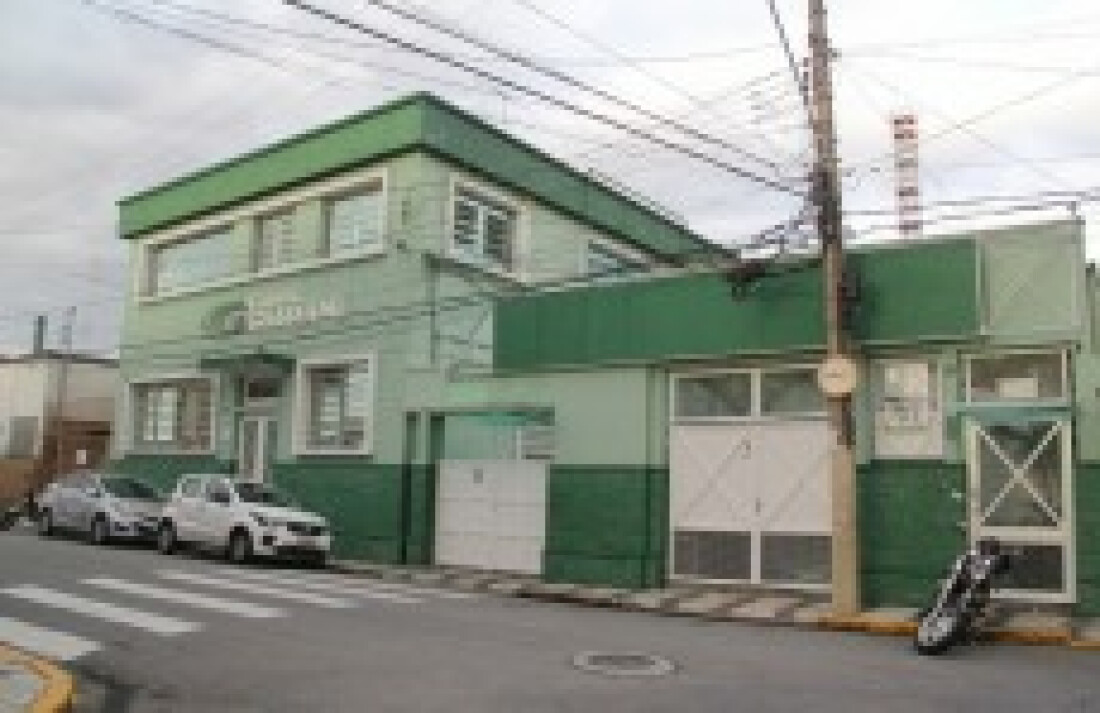 Festa das Nações do Colégio Guarani destaca pluralidade