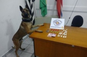 resultado de operação é divulgado