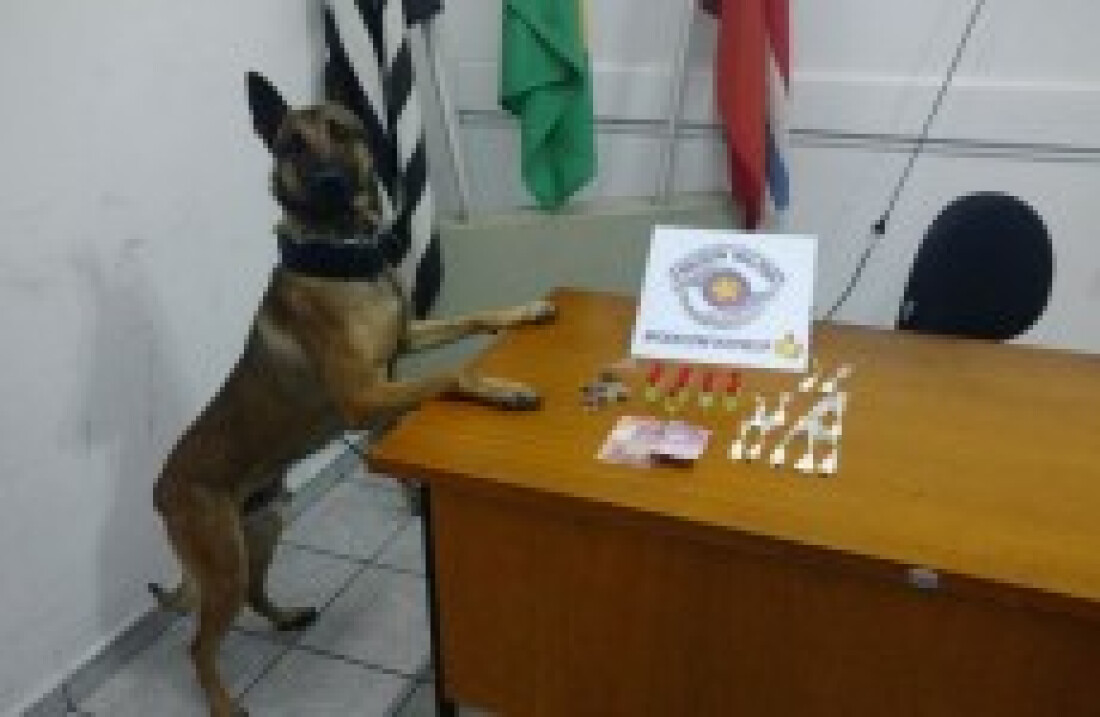 resultado de operação é divulgado