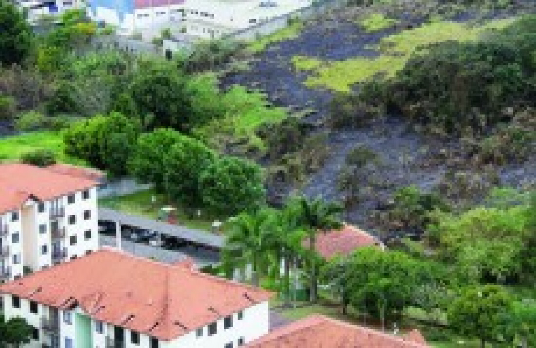 Incêndio em terreno provoca preocupação em moradores