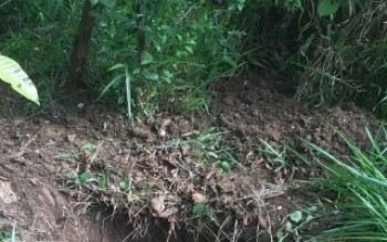 Polícia Civil descobre cemitério clandestino em Ferraz