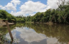 Prefeitura realiza a limpezasuperficial de trecho do Tietê