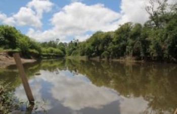 Prefeitura realiza a limpezasuperficial de trecho do Tietê