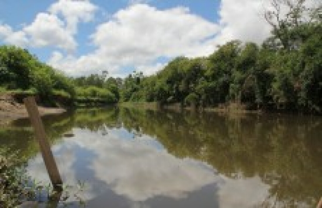 Prefeitura realiza a limpezasuperficial de trecho do Tietê