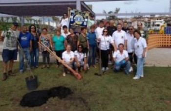 Parque recebe plantio de 20 mudas