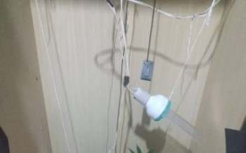 Homem é preso por cultivar maconha: