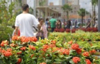 Viveiro Municipal promove hoje Carnaval Alternativo