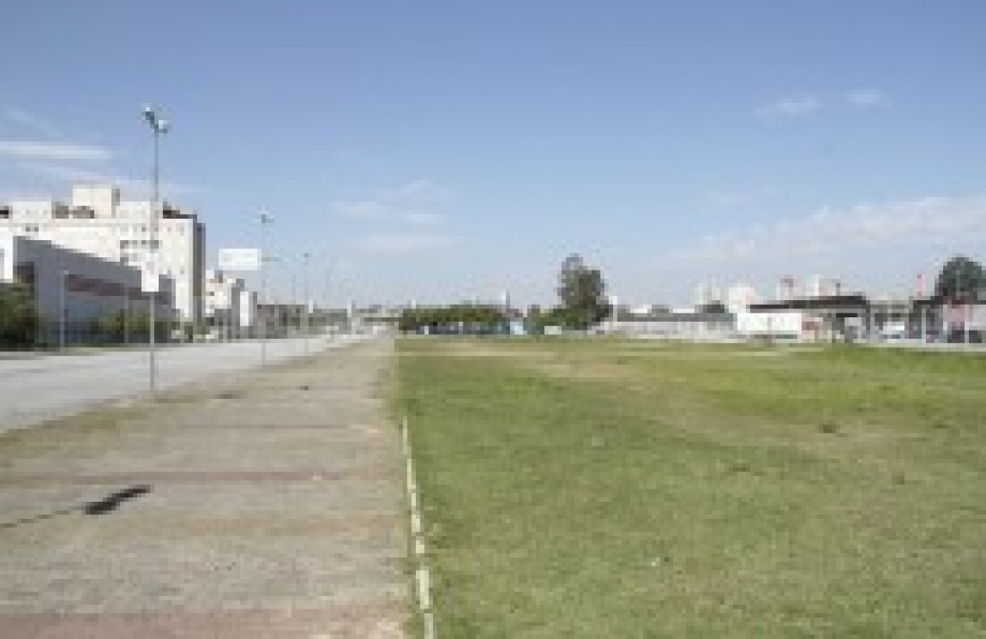 Escolas de samba prontas para o desfile de domingo