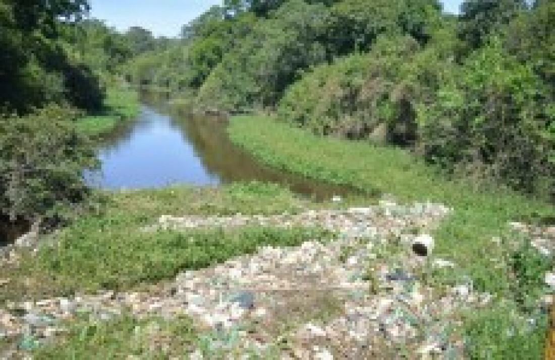 Delegacia de Meio Ambiente investiga poluição no rio Tietê
