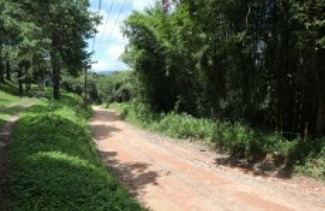 Igreja do Baruel em Suzano é incluída na Rota da Madeira