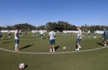 Palmeiras e Flamengo tentam vaga