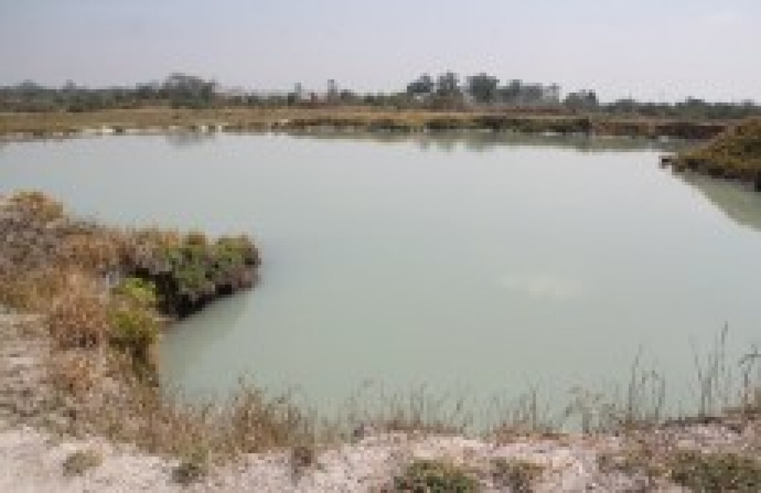 Pescadores encontram corpo em lagoa de Suzano