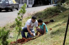 Fundo Social faz o plantio de 40 árvores frutíferas